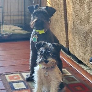 Meet your Posher, Monique